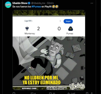 Memes pumas