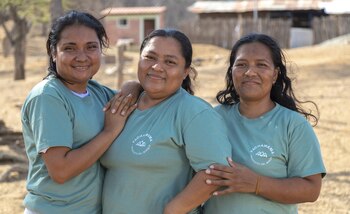 Pachamama, uno de los casos