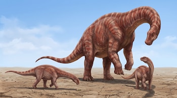 Tres dinosaurios sauropodos, uno adulto y dos crías, sobre tierra seca y agrietada bajo un cielo azul con nubes.