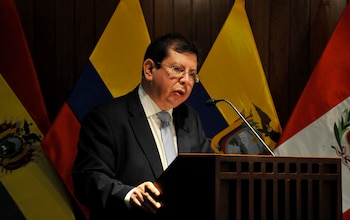 El Gobierno del presidente interino