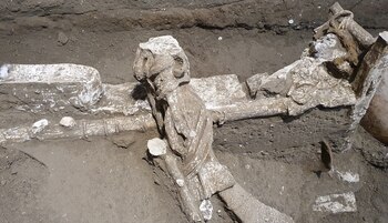 Se han encontrado tres catres