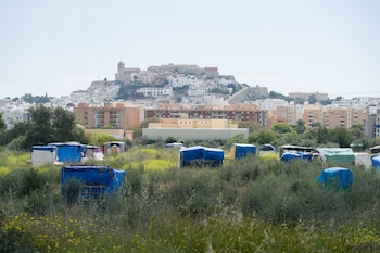 Asentamiento en Sa Joveria, en marzo de 2025, en Ibiza. (Germán Lama / Europa Press)