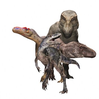 El hallazgo en Mongolia revela