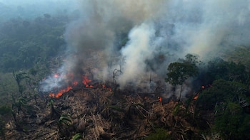 El futuro de las políticas sobre la Amazonía está en juego en las elecciones de Brasil