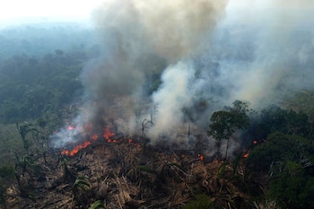 Un bosque arde en Amazonía, en el municipio de Manaquiri en el estado brasileño de Amazonas, el miércoles 6 de septiembre de 2023 (AP/Edmar Barros, Archivo)