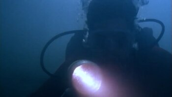 En el reparto principal se