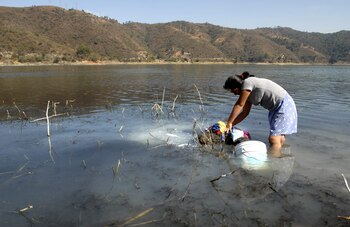 Una mujer lava ropa en
