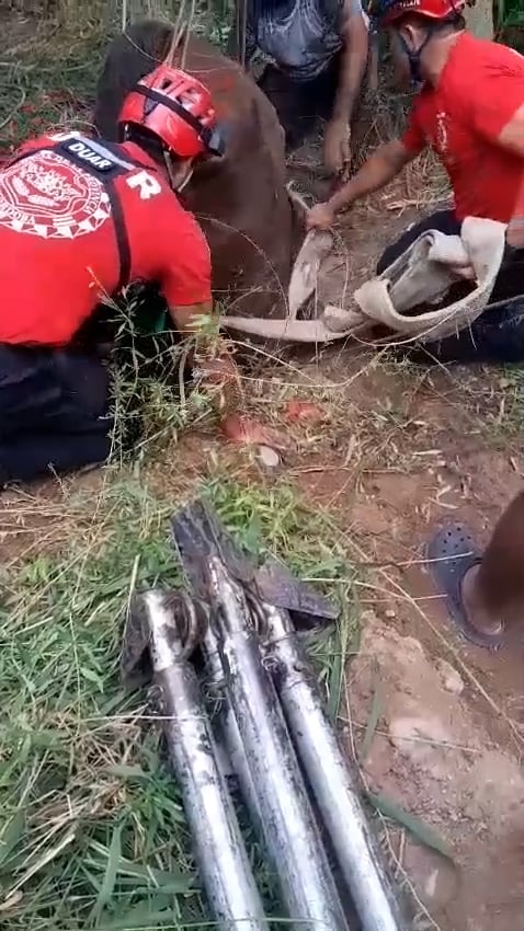 La operación de rescate en Cruz del Eje utilizó técnicas de salvamento adaptadas a la condición del caballo atrapado en una cavidad profunda