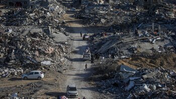 La OMS inicia su plan