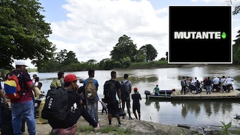 Un año después de las