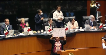 Senado, discusión de la Guarda Nacional