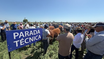 El IPCVA organiza jornadas ganaderas gratuitas, destinadas a la capacitación a campo, acercando conocimientos, experiencias y herramientas innovadoras a productores y técnicos de la cadena cárnica (Revista Chacra)