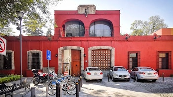 Gobierno recortó becas al Colmex