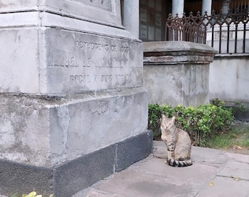 Catacumberitos se encarga de alimentar,