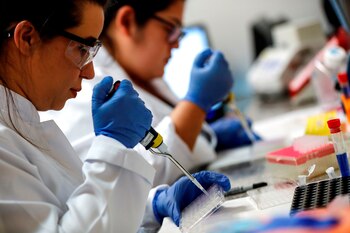 Los ensayos se realizarán a