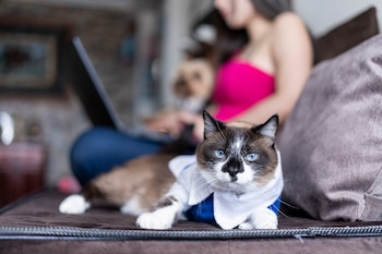 Al tomar varias muestras de