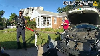 Insólito hallazgo en Nueva Jersey: encontraron una serpiente atrapada dentro de un auto