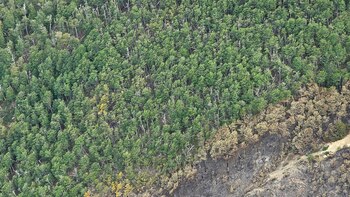 El fuego es combatido cuerpo