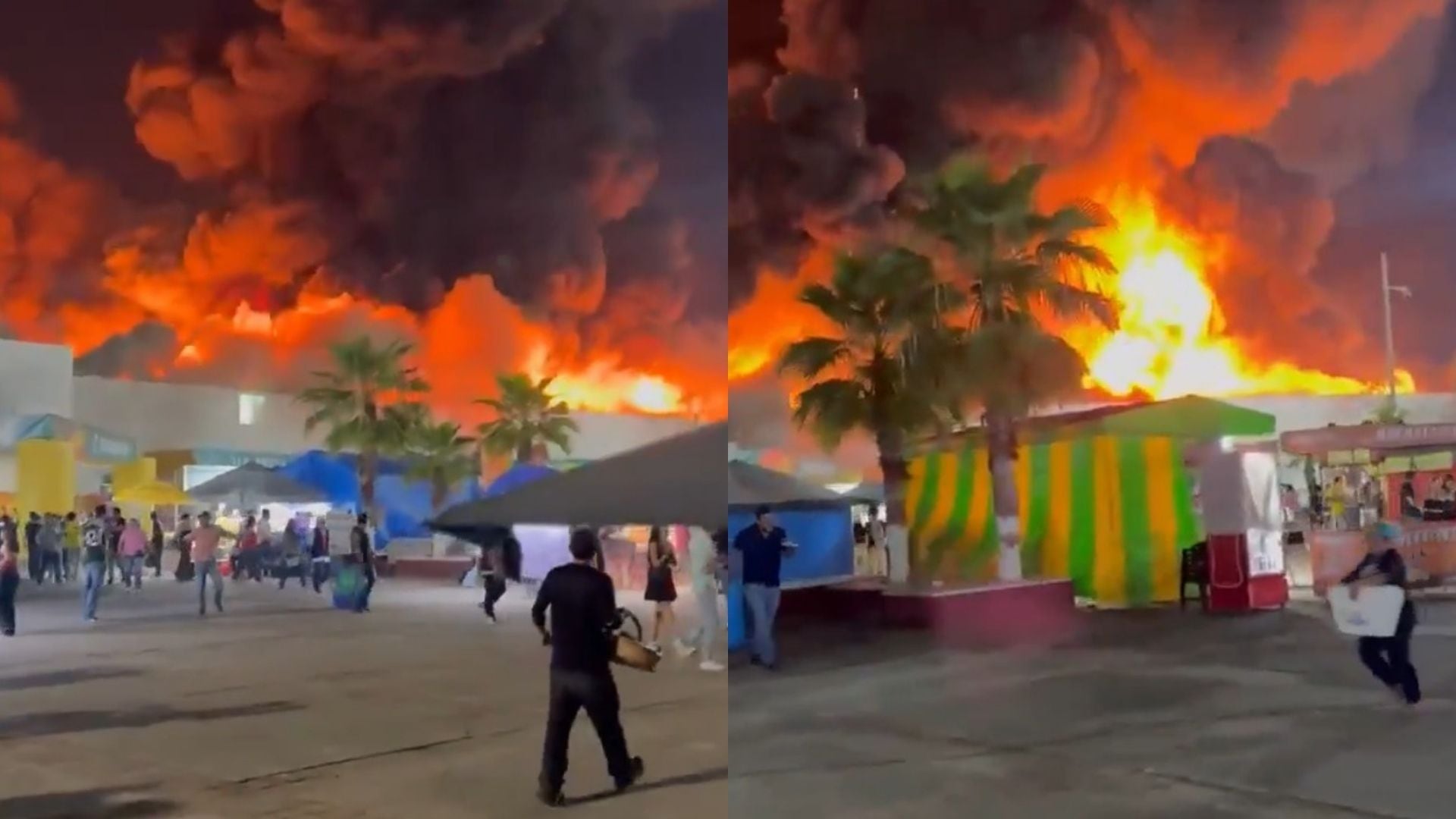 Foto: Captura de pantalla / Redes sociales