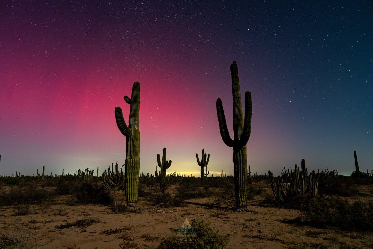En diversos puntos del norte de México se pudieron observar auroras boreales a causa de una tormenta solar. (Foto:X@GGerardox2)