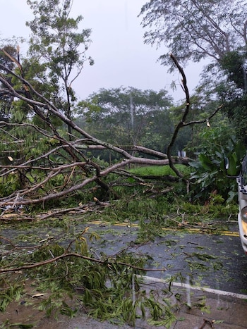 San Rafael, Camaronal y Montelimar aparecen en el reporte junto a otras comunidades, con parte de los incidentes ya atendidos y equipos desplegados para reponer el suministro en el menor tiempo posible (Foto cortesía ICE)