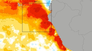 Mapa de la costa oeste de Sudamérica con áreas del océano en tonos amarillos, naranjas y rojos, y un recuadro con la etiqueta NIÑO 1+2