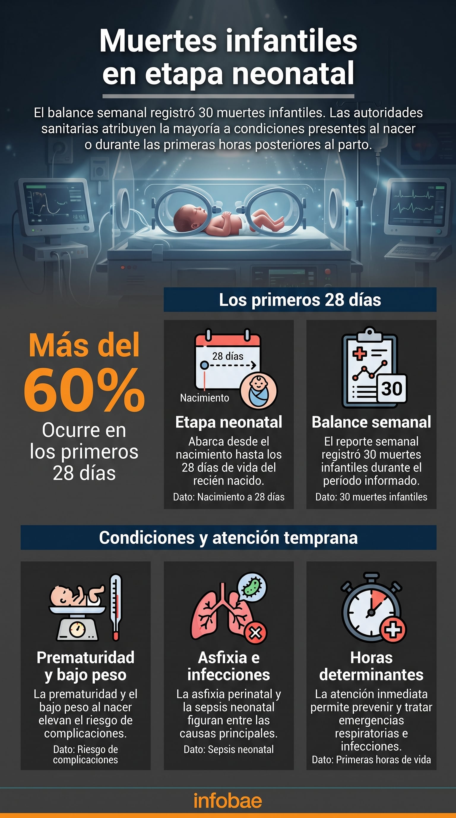 Una infografía detalla que más del 60 por ciento de las muertes infantiles ocurre durante los primeros 28 días de vida y señala sus principales causas médicas. (Imagen Ilustrativa Infobae)
