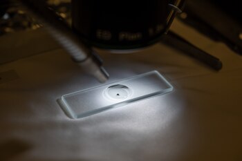 Una muestra del asteroide Bennu