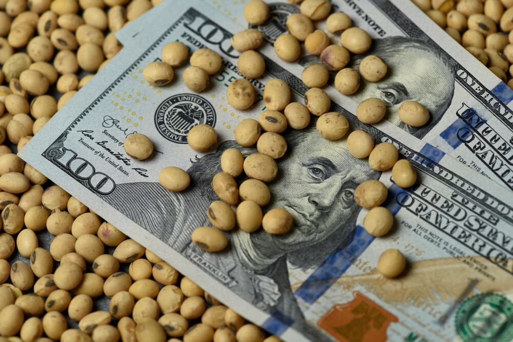 El agro aportó dólares en el arranque de la semana bursátil y evitó que el Gobierno tenga que intervenir (Foto: Shutterstock)
