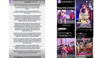 Captura de pantalla de tres historias de Instagram: una publicación de texto de Fernanda Urbina y dos videos de ella y Anely cantando o bailando