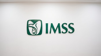 Logotipo del IMSS de color verde, con el emblema de un águila y la leyenda IMSS, montado en una pared blanca lisa e iluminada.