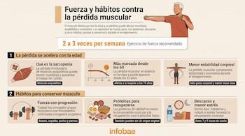 Infografía con ilustraciones de un hombre con banda elástica, pesas, alimentos, un reloj y textos explicativos sobre la masa muscular.