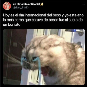 (Foto: captura de pantalla de