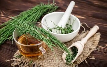 Su consumo en exceso puede