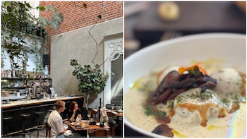 Te dejamos algunas recoemdnaciones para