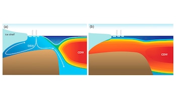 Según el comunicado de prensa: