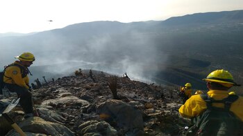 (Foto: Twitter@CONAFOR)