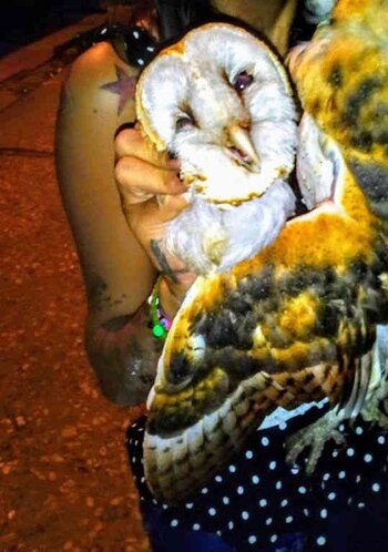 La mujer subió sus fotos