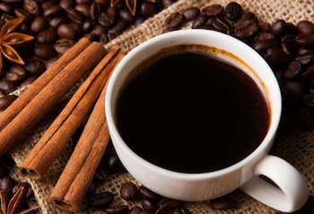 La canela se obtiene de