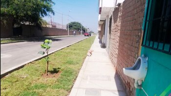 Ica: instaló urinario en plena vía pública para sus clientes, pero terminó denunciado