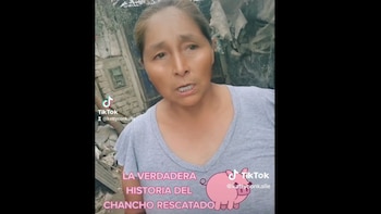 (Captura: TikTok / kattyconkalle)