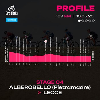 Este es el perfil de