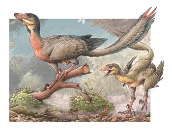 Reconstrucción artística del Overoraptor chimentoi