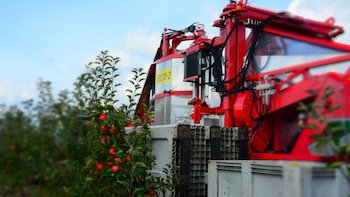 Así es la máquina que