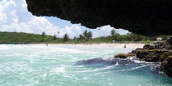 Vieques en Puerto Rico destaca