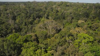 Lula asume el gobierno de