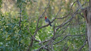 La Finca posee 23 sitios