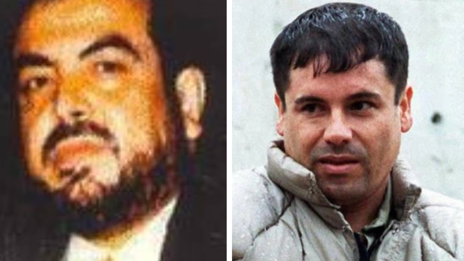 La guerra entre Los Beltrán Leyva y el CDS fue distinta a la que hoy se disputan Los Chapitos y La Mayiza. (Infobae)