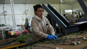 Trabajadores en Colombia pueden solicitar