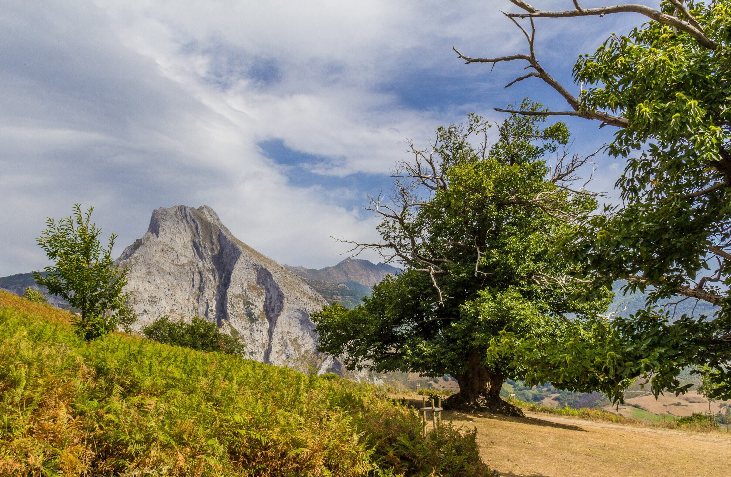 El Habario, Cantabria